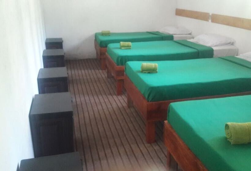 Foret De Vill   Hostel