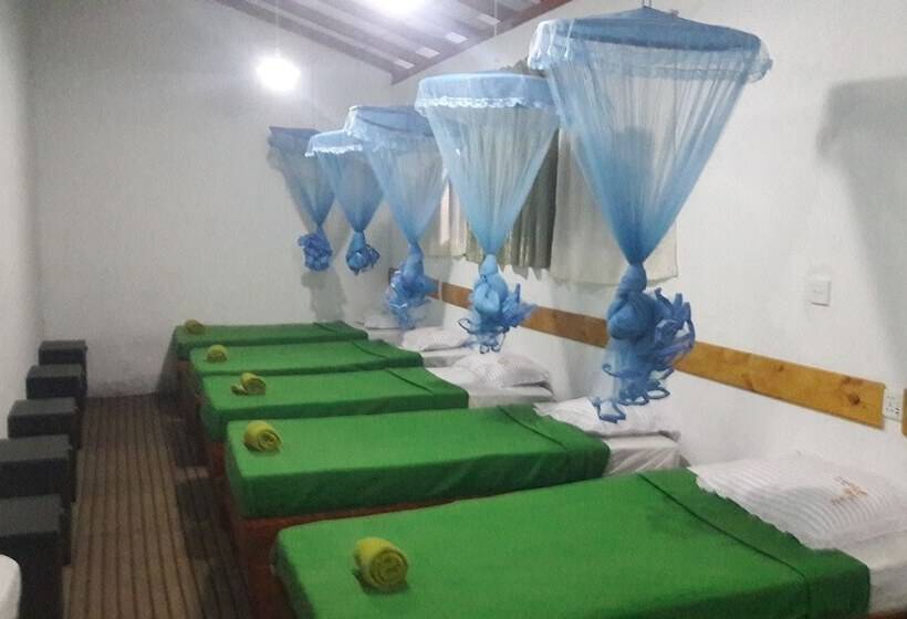 Foret De Vill   Hostel