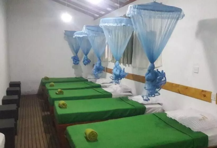 Foret De Vill   Hostel