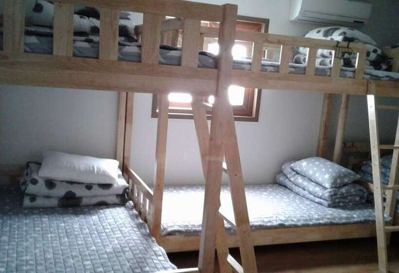 Friends Of Loft   Hostel