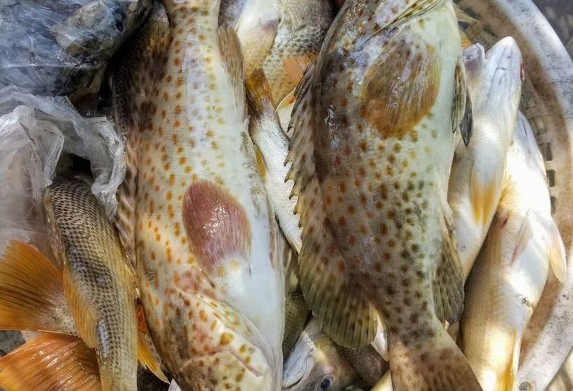 فندق Baan Lee Bungalows