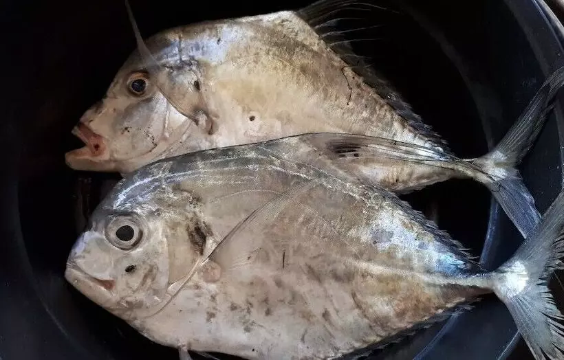 Hotelli Baan Lee Bungalows