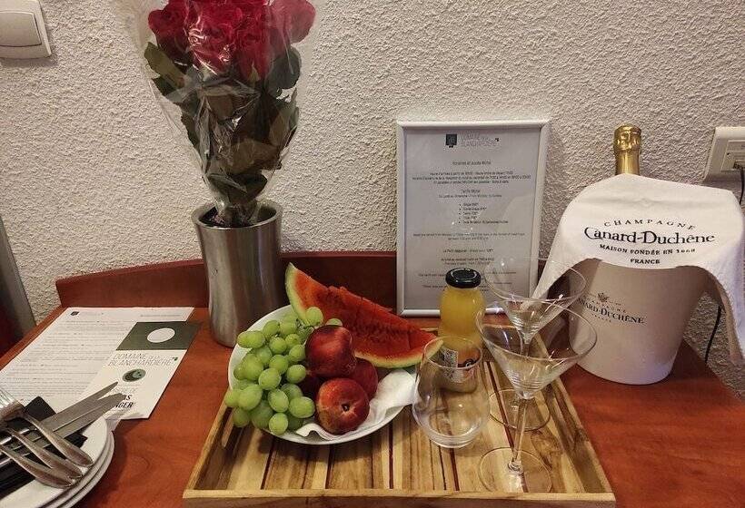 호텔 Domaine De Blanchardière