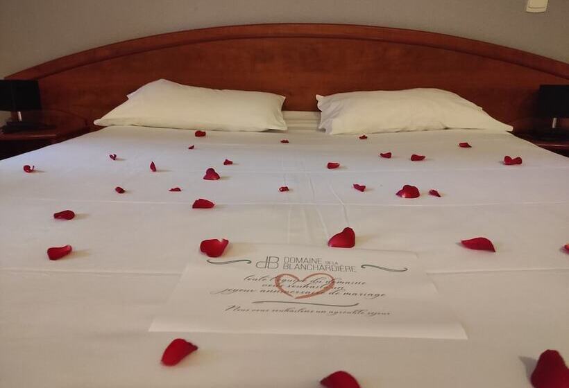 호텔 Domaine De Blanchardière