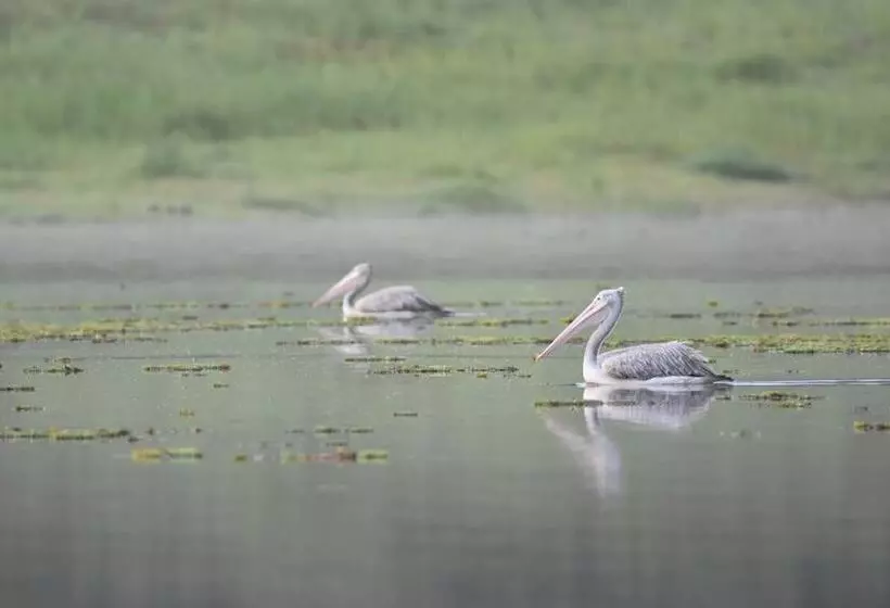 Hotelli Explorer By Eco Team  Maduru Oya National Park