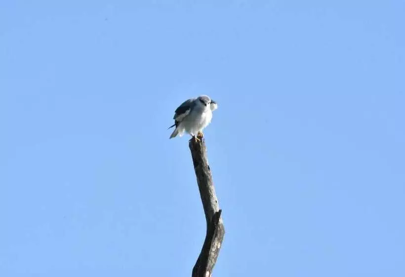 Hotelli Explorer By Eco Team  Maduru Oya National Park