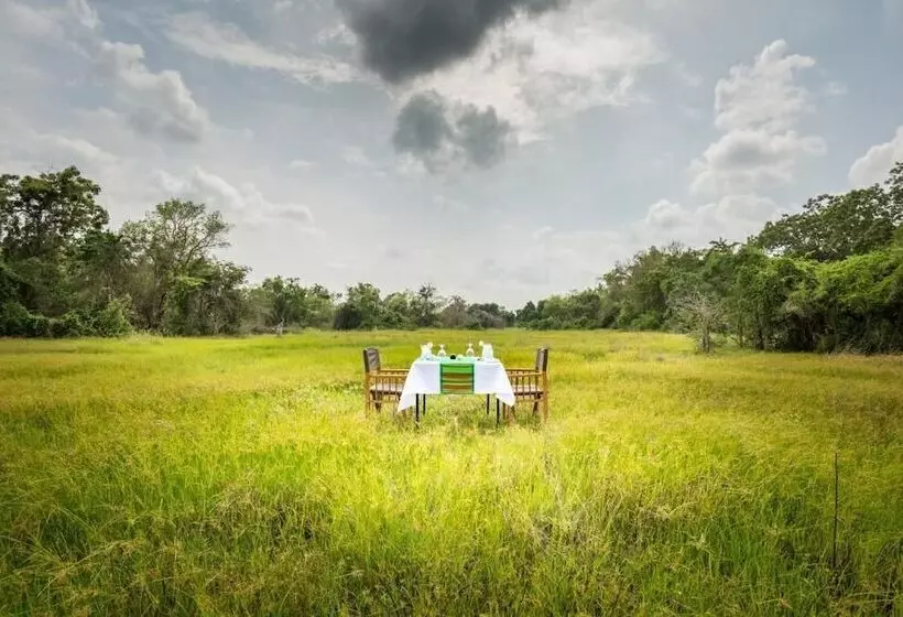 Hotelli Explorer By Eco Team  Maduru Oya National Park