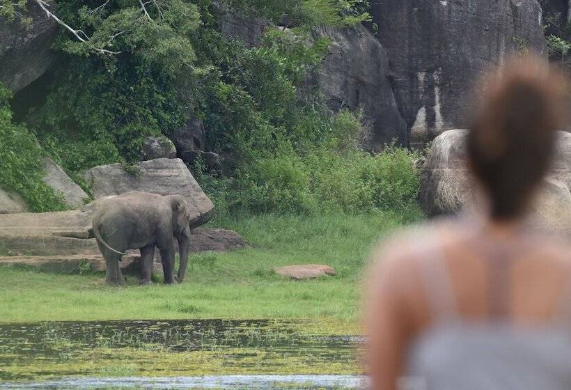 فندق Explorer By Eco Team  Maduru Oya National Park