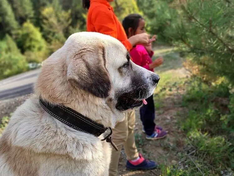 Hotelli Kure Dag Evi