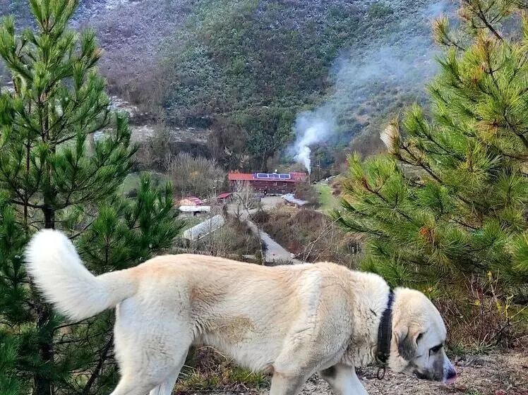 Hotelli Kure Dag Evi