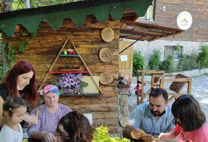 Hotelli Kure Dag Evi