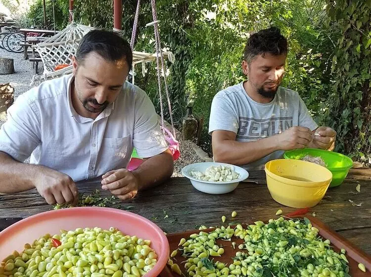 Hotelli Kure Dag Evi