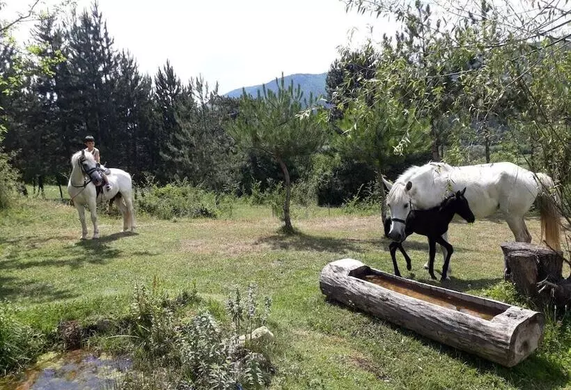 Hotelli Nesilce Tatil Koyu