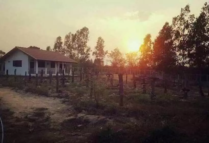 Hotelli Pings Farmstay