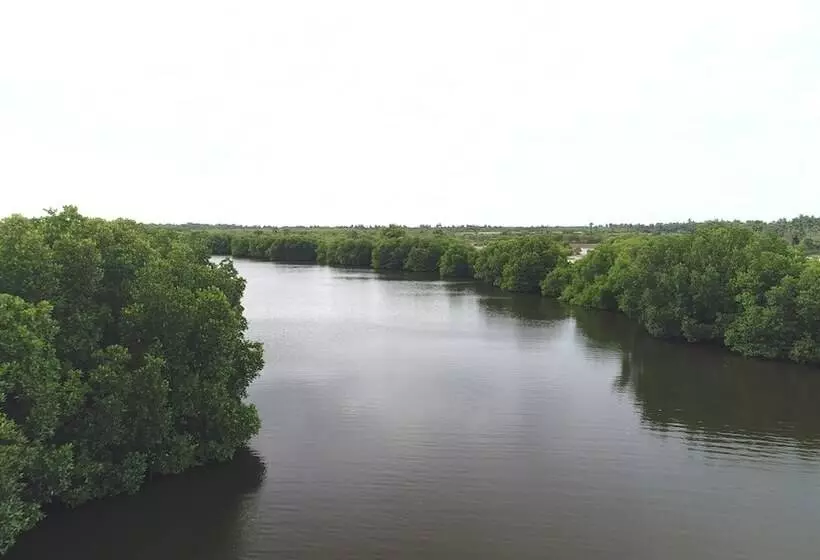 ホテル The Cove Pasikuda