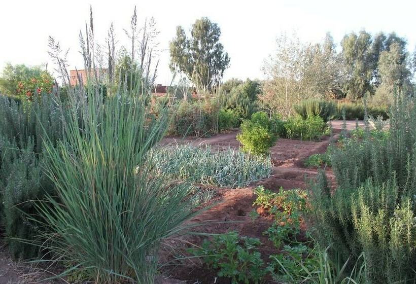 بنسيون Dar Idar Tafdna