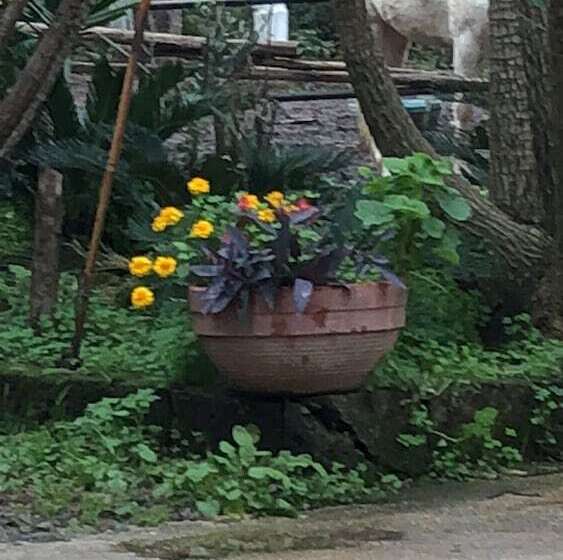 ペンション Decriresort