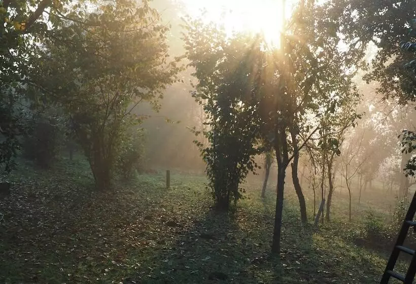 Majatalo Guest House Sara Latin