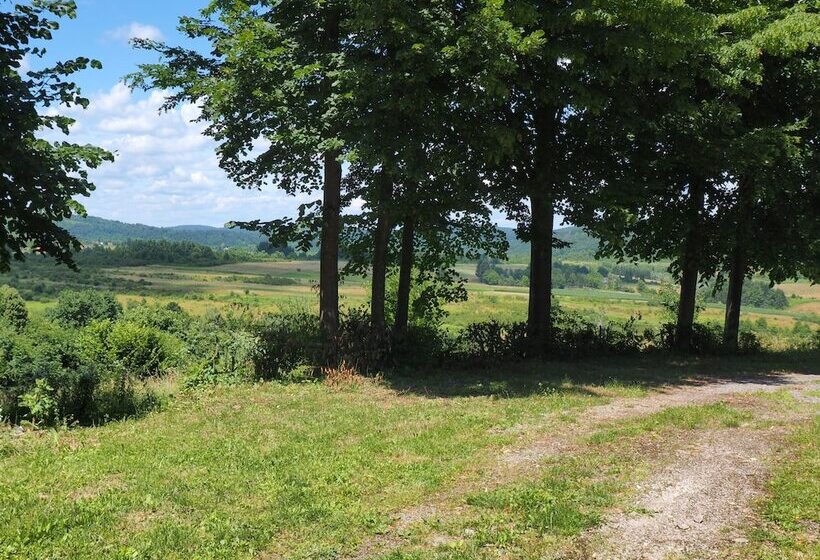 Пансион Guest House Sara Latin