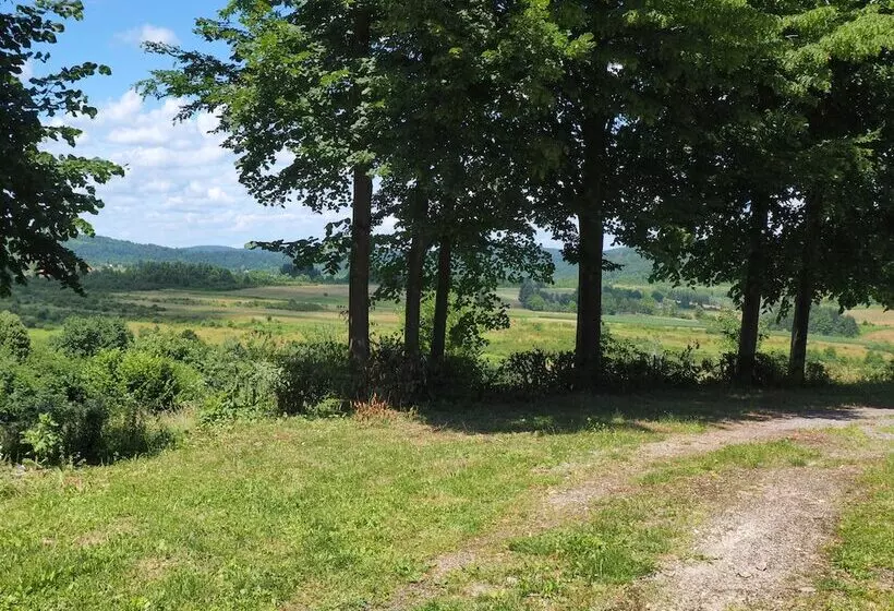 Majatalo Guest House Sara Latin