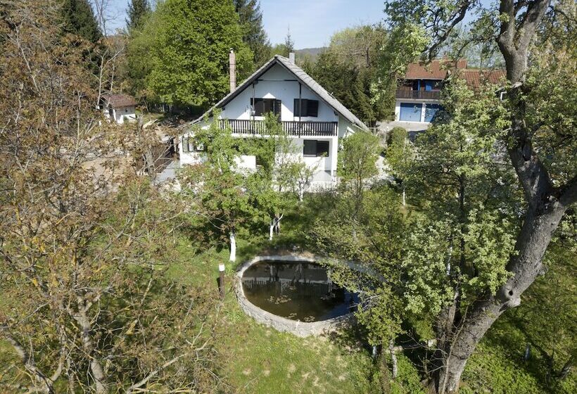 Пансион Guest House Sara Latin