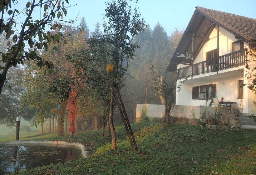 Пансион Guest House Sara Latin