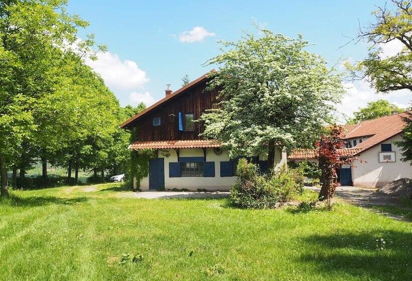 Пансион Guest House Sara Latin