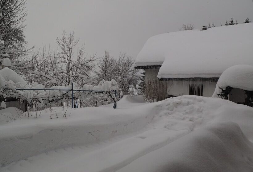 Пансион Guest House Sara Latin