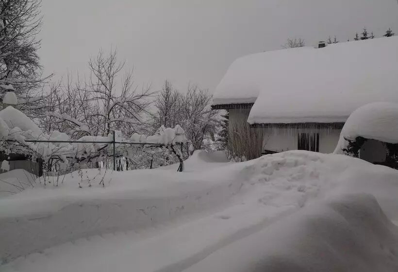 Majatalo Guest House Sara Latin