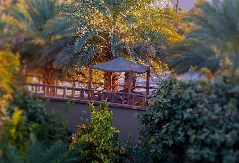 پانسیون Oasis Dar Ouanou