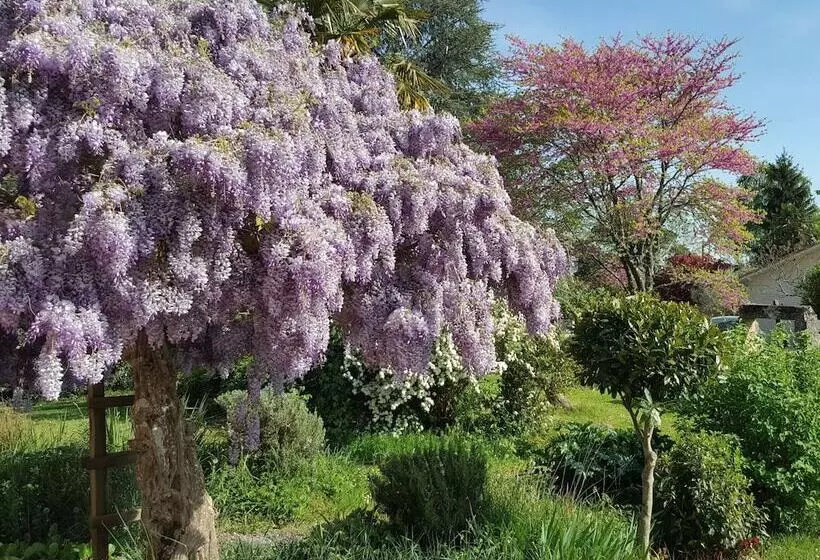 Aamiaismajoitus (B&B) La Vigneraie De Laura