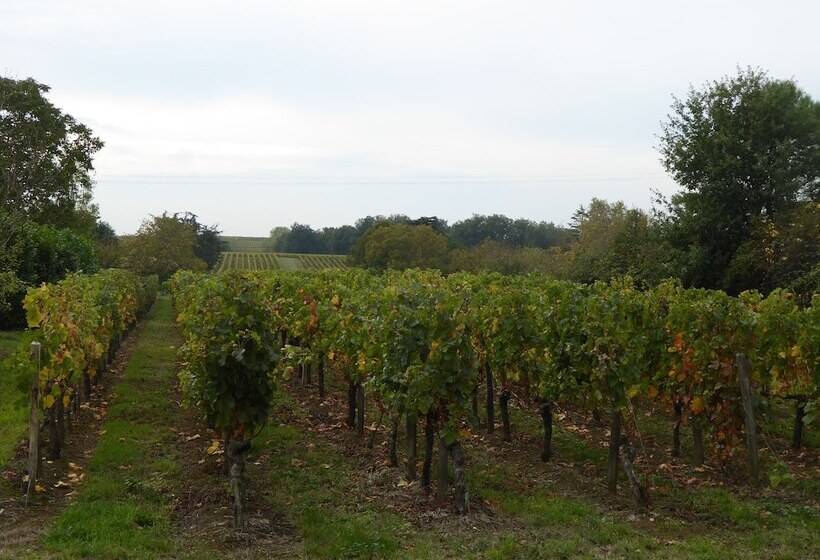 住宿加早餐  La Vigneraie De Laura