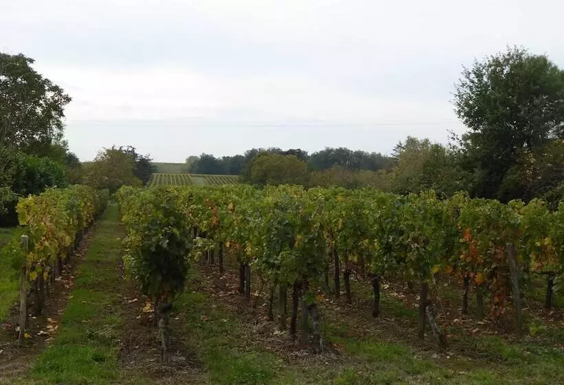 Aamiaismajoitus (B&B) La Vigneraie De Laura