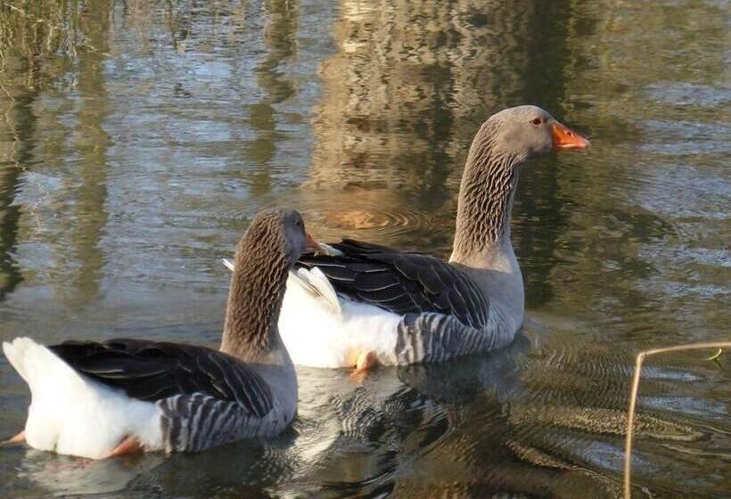مبيت وإفطار Le Parc Des Aubiers