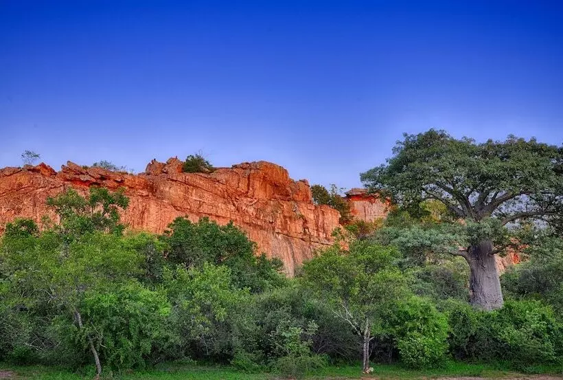 ホテル Awelani Lodge