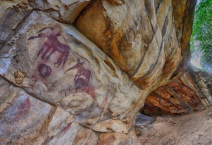 בית מלון כפרי Awelani Lodge