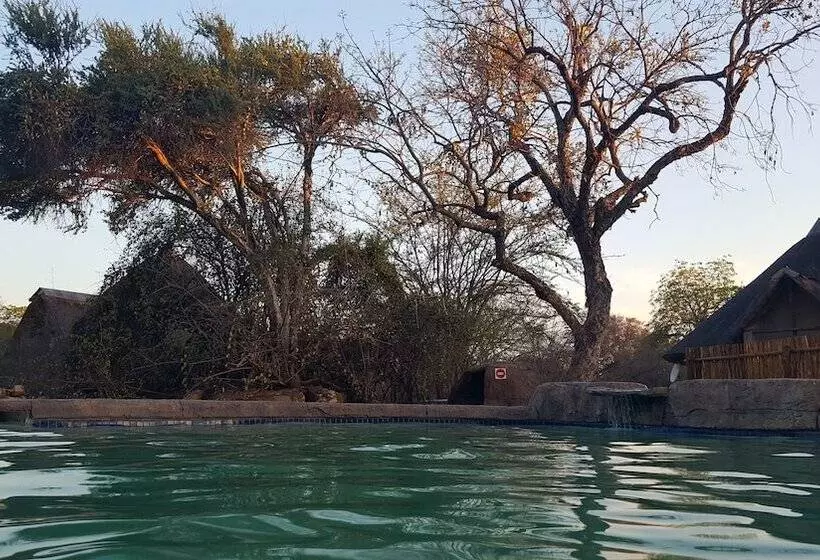 ホテル Awelani Lodge