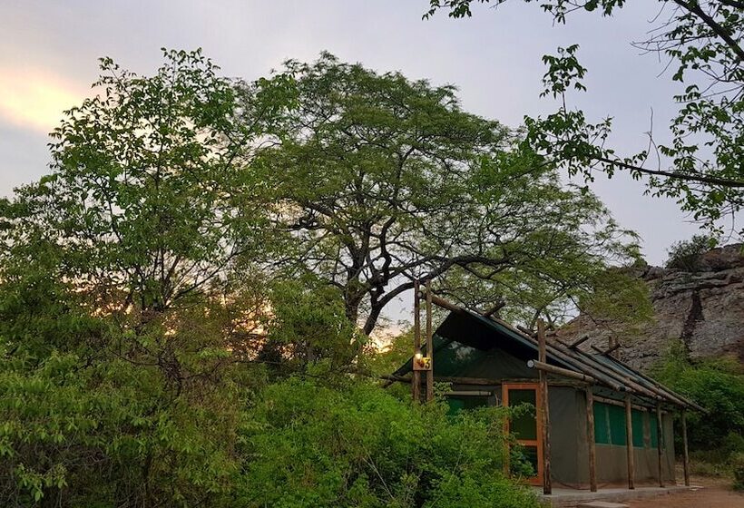 בית מלון כפרי Awelani Lodge