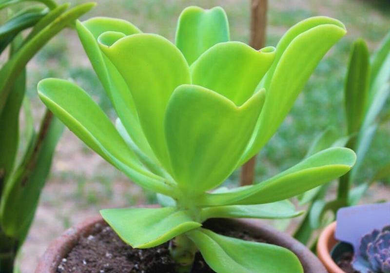 هتل Millsborough Bnb