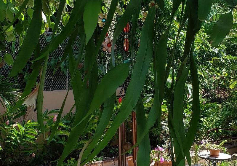 هتل Millsborough Bnb