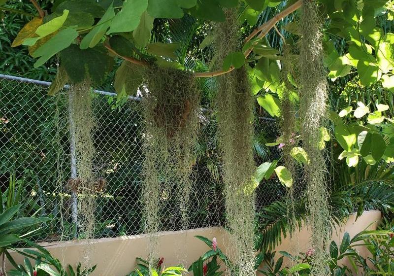 هتل Millsborough Bnb