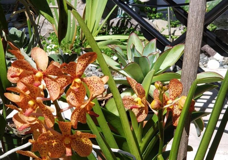 هتل Millsborough Bnb