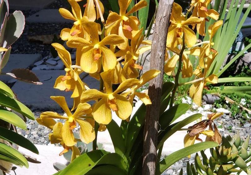 هتل Millsborough Bnb