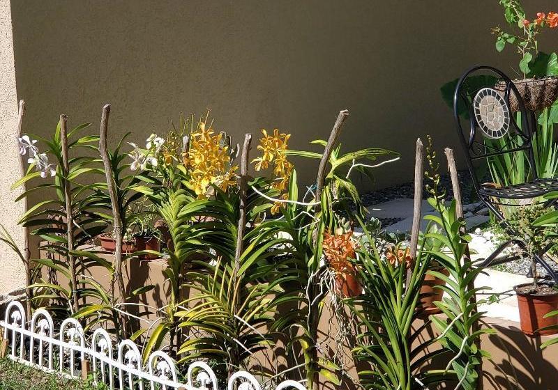 هتل Millsborough Bnb