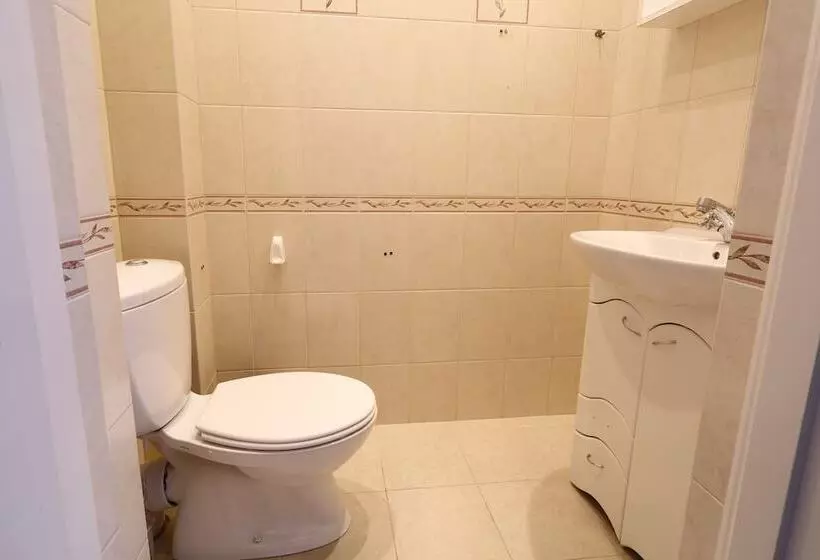 ホテル Palace Yelizavetino