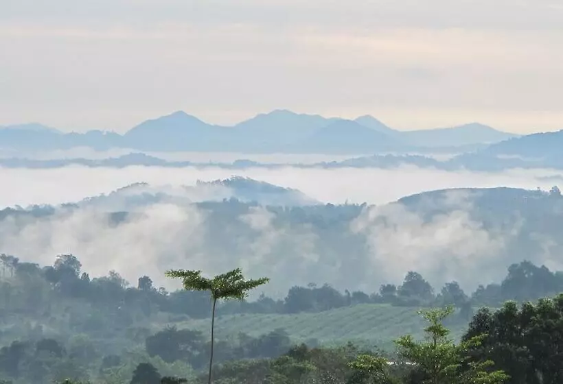 Hotelli The Natural Garden   Khao Soi Dao