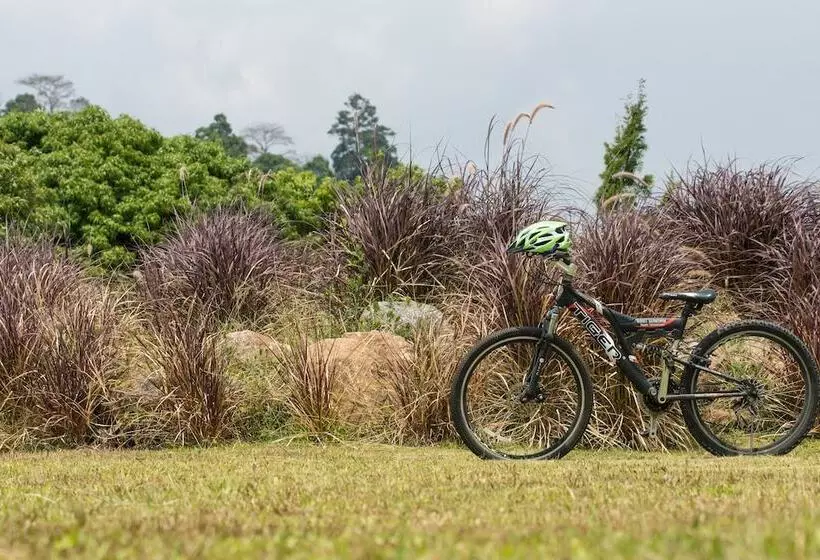 Hotelli The Natural Garden   Khao Soi Dao