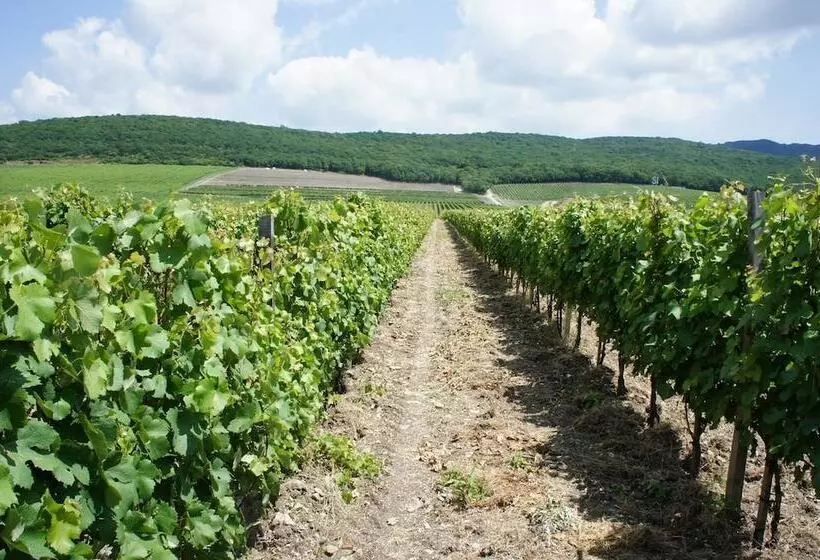 هتل Vinoterria