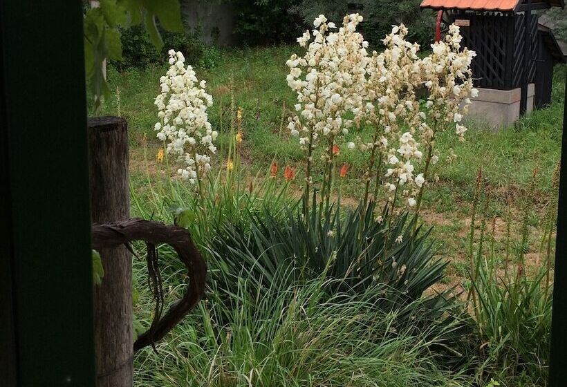 田舎風ホテル Farmotel Stefania