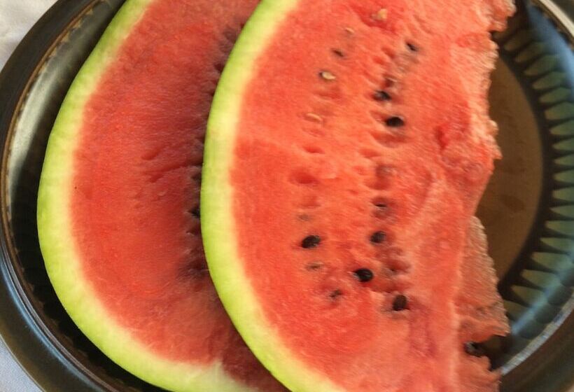 田舎風ホテル Farmotel Stefania